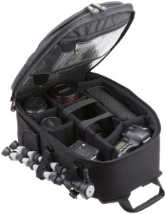 Sturdy Camera Backpack
